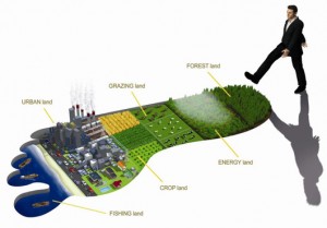 waste, circular, 2050, sustainable, recycle, reuse, remanufacture, UN, food, energy, renewables, footprint, Co2, emissions, materials, green economy, circular economy